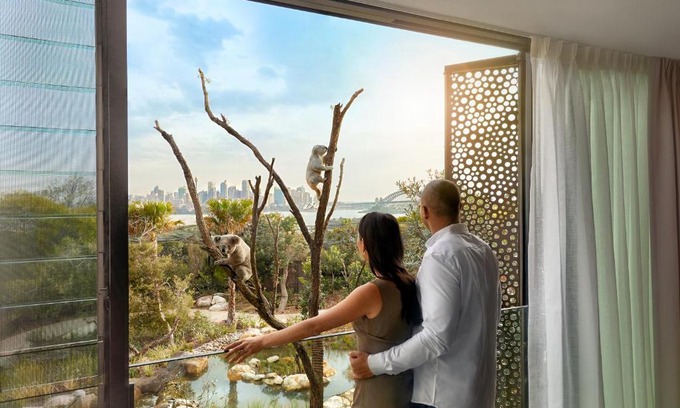 Mosman Hotel | Wildlife Retreat at Taronga