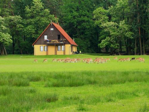 Baruth/Mark Apartamento | Wildpark Johannismühle