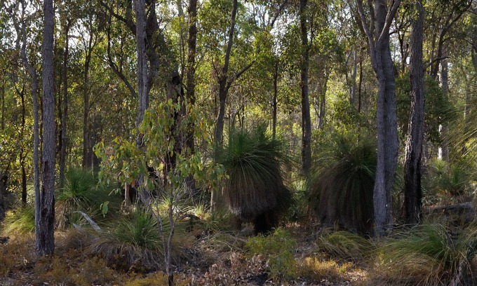 Wilga Otro | Wilga Farm Stay