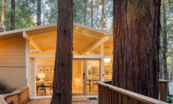 Mill Valley Casa | Window to the Redwoods