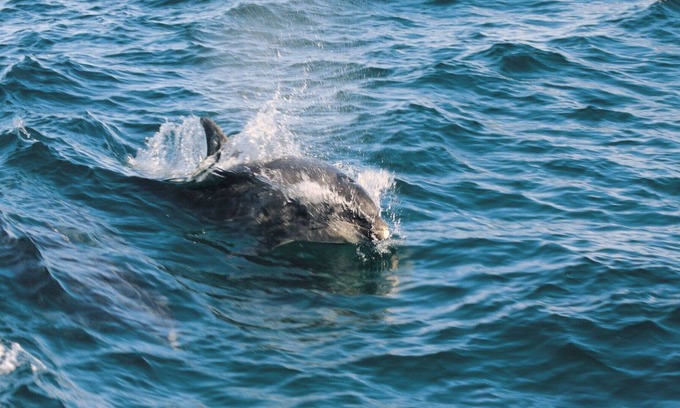 Llandysul Casa | Preciosa casa de vacaciones privada con jacuzzi, WIFI, TV, patio, vista panorámica y aparcamiento