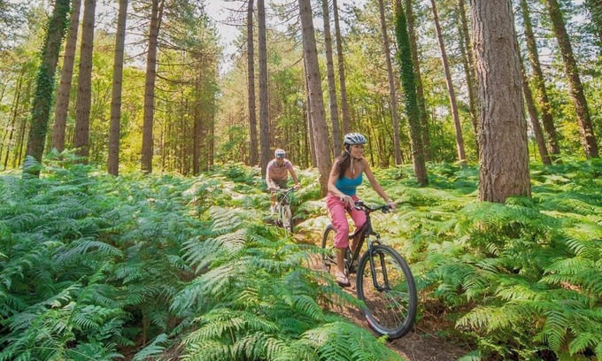 Dukeries Mill Chalet De Esquí | Woodland Rustic Pet Friendly 2 Bed