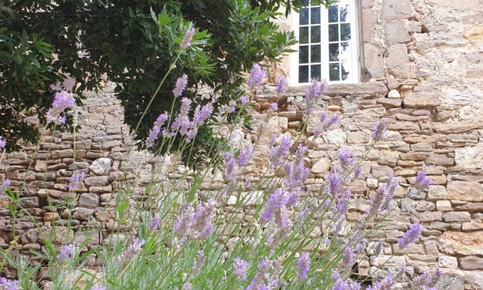 Canet Otro | XIth century castle