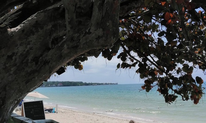 Negril Cabina | Yoga Dreams Negril