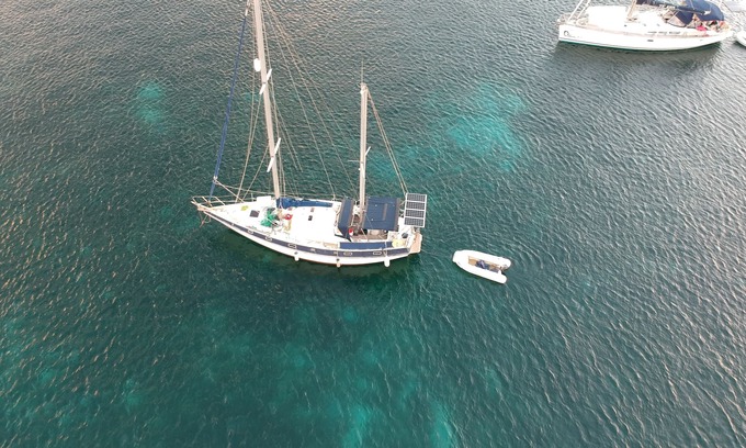 Les Anses-d'Arlets Alquiler De Eote | Catamarán para grupos pequeños con buceo, snorkel, remo y barbacoa a bordo.