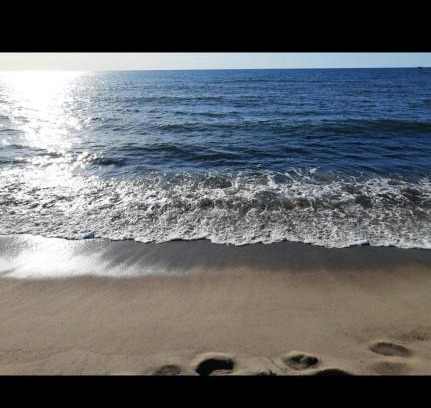 Darlowo Apartamento | Zefir Leśnica