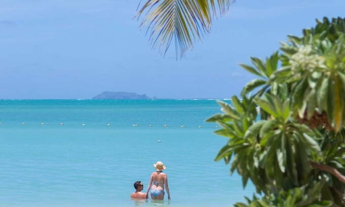 Calodyne Complejo | Zilwa Attitude