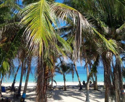 Punta Sur Apartamento | Zippy´s Sea View Apartments