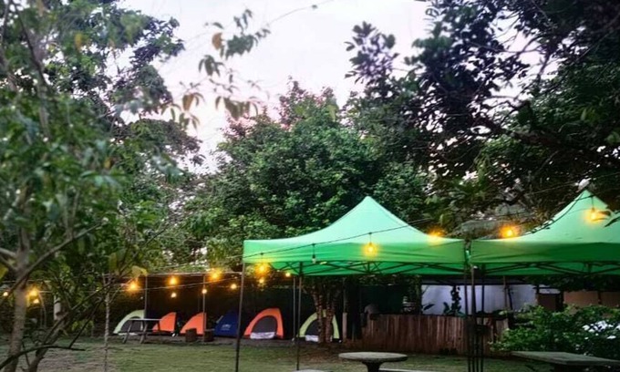 Palma Hotel | Zompopas Trail