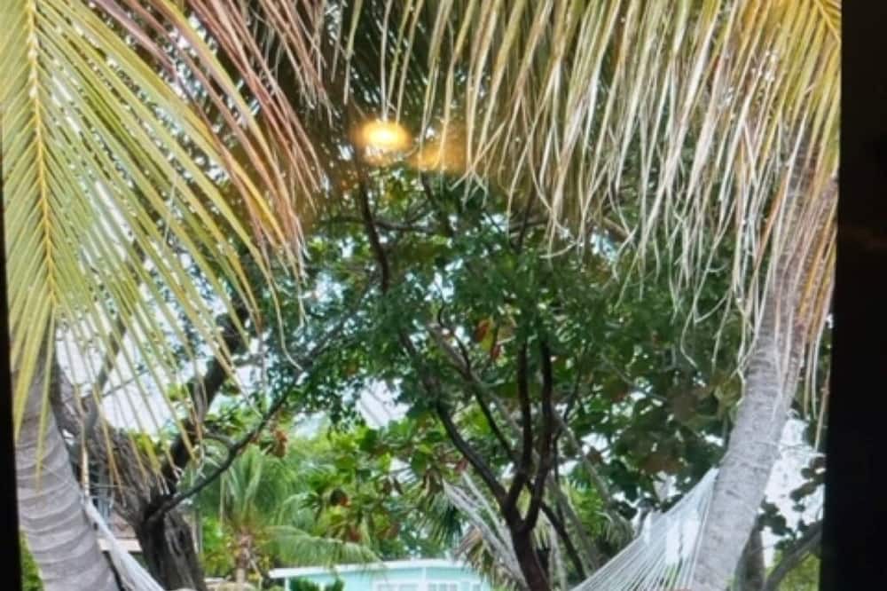 foto de Otras en Summerland Key