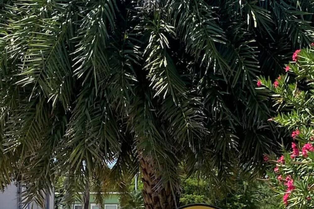 foto de Otras en Summerland Key