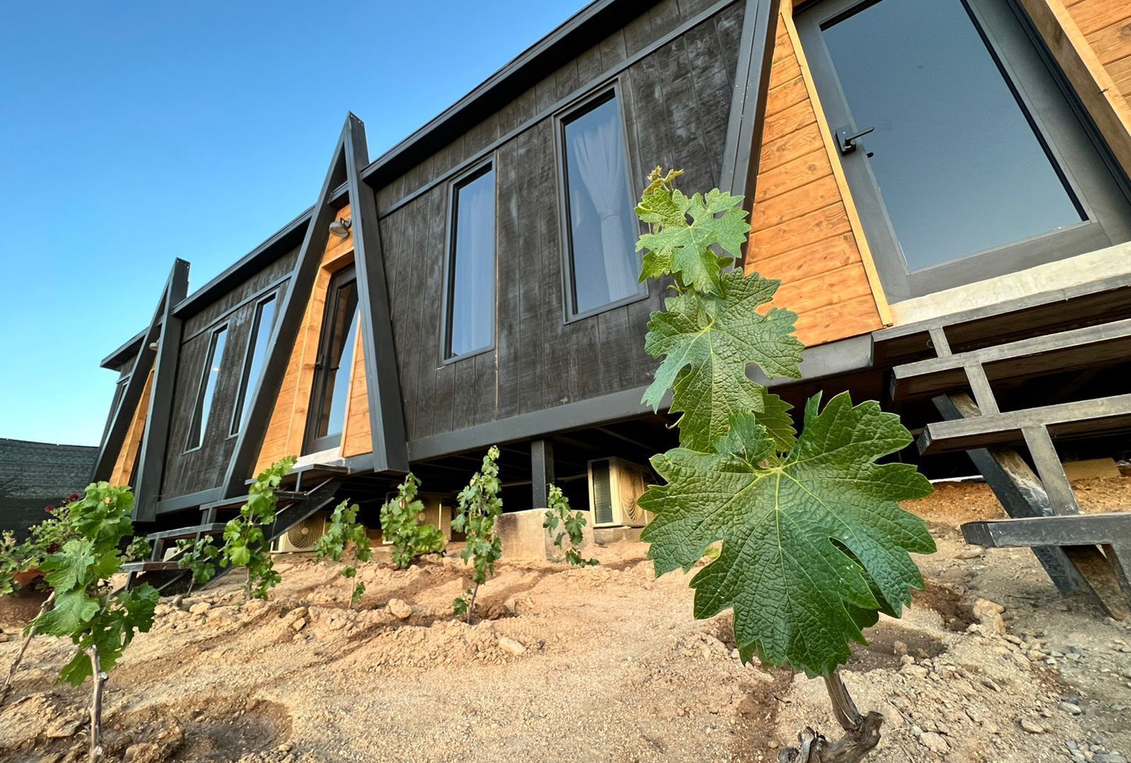 foto de Otras en Valle de Guadalupe