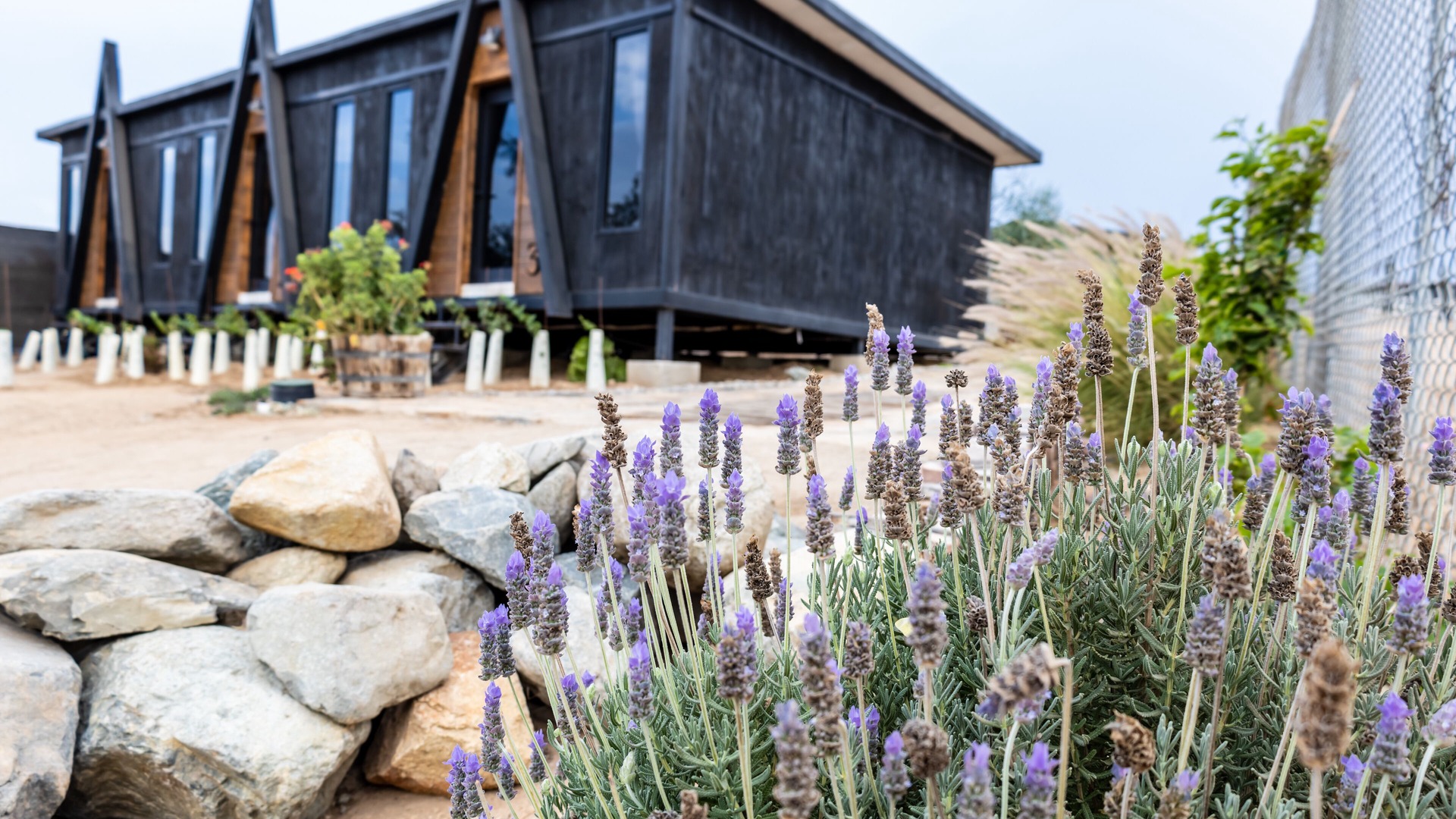 foto de Exterior en Valle de Guadalupe