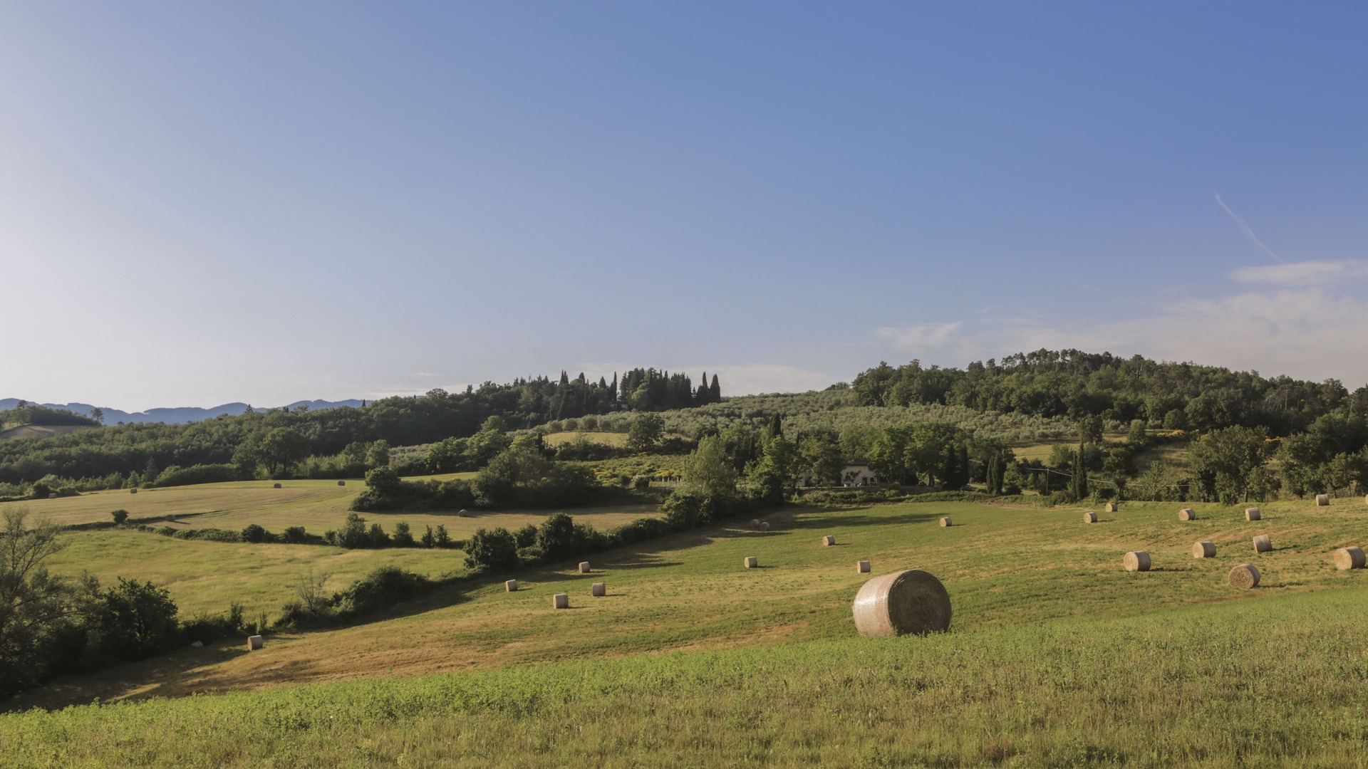 foto de Exterior en Barberino di Mugello