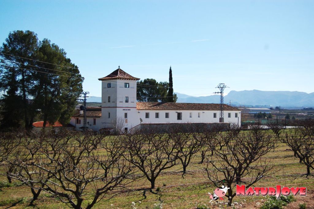 foto de Exterior en Beniganim