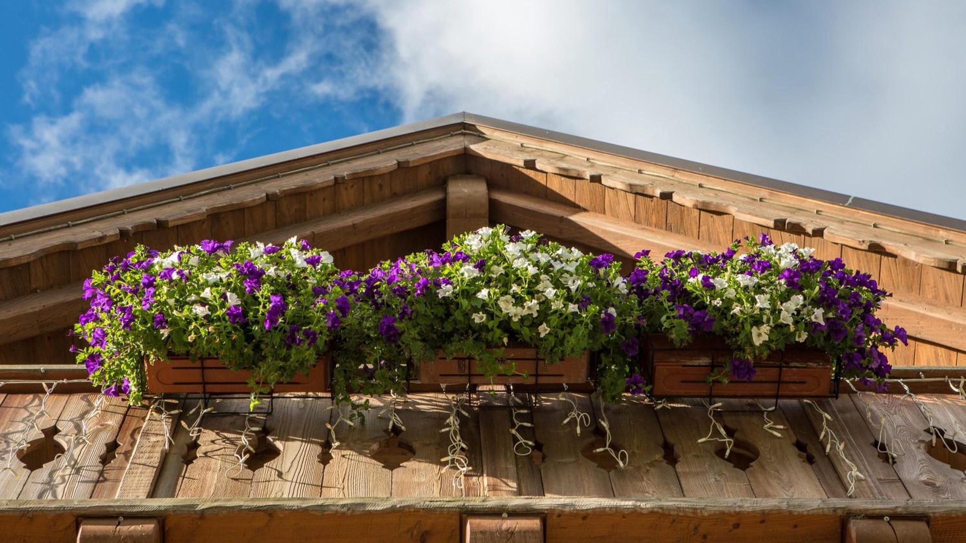 foto de Exterior en Bormio