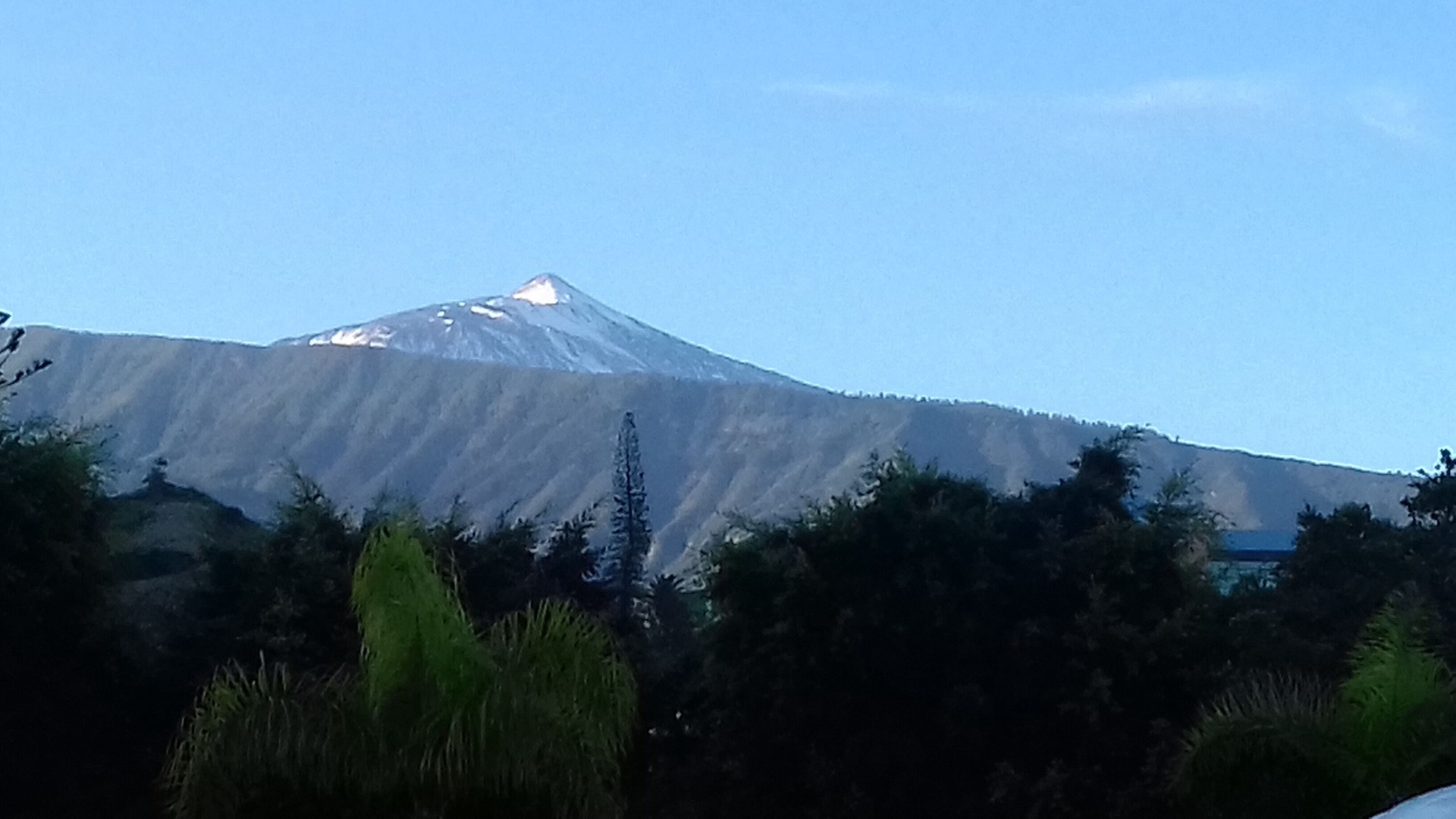 foto de Otras en Puerto de la Cruz