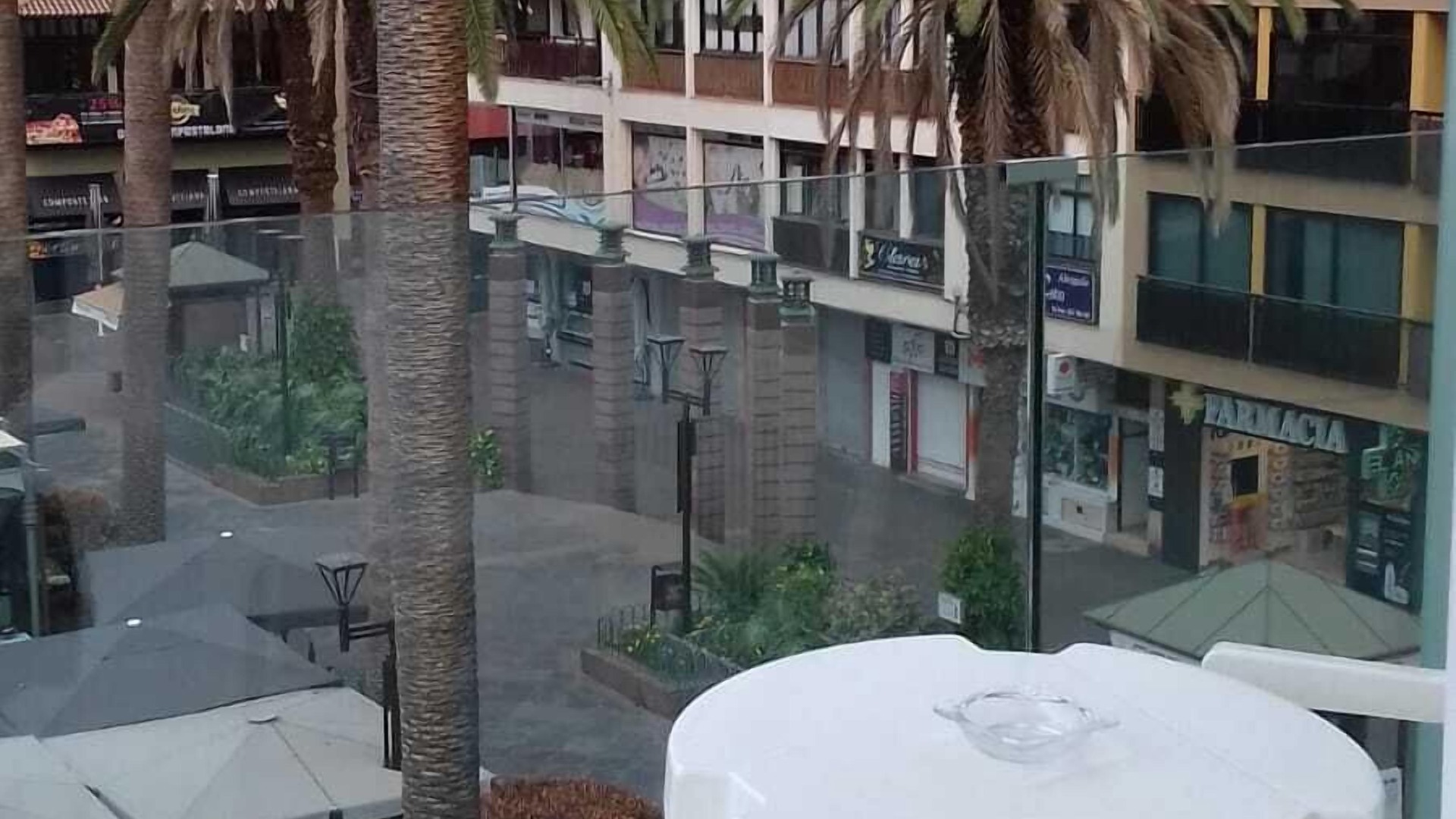 foto de Otras en Puerto de la Cruz