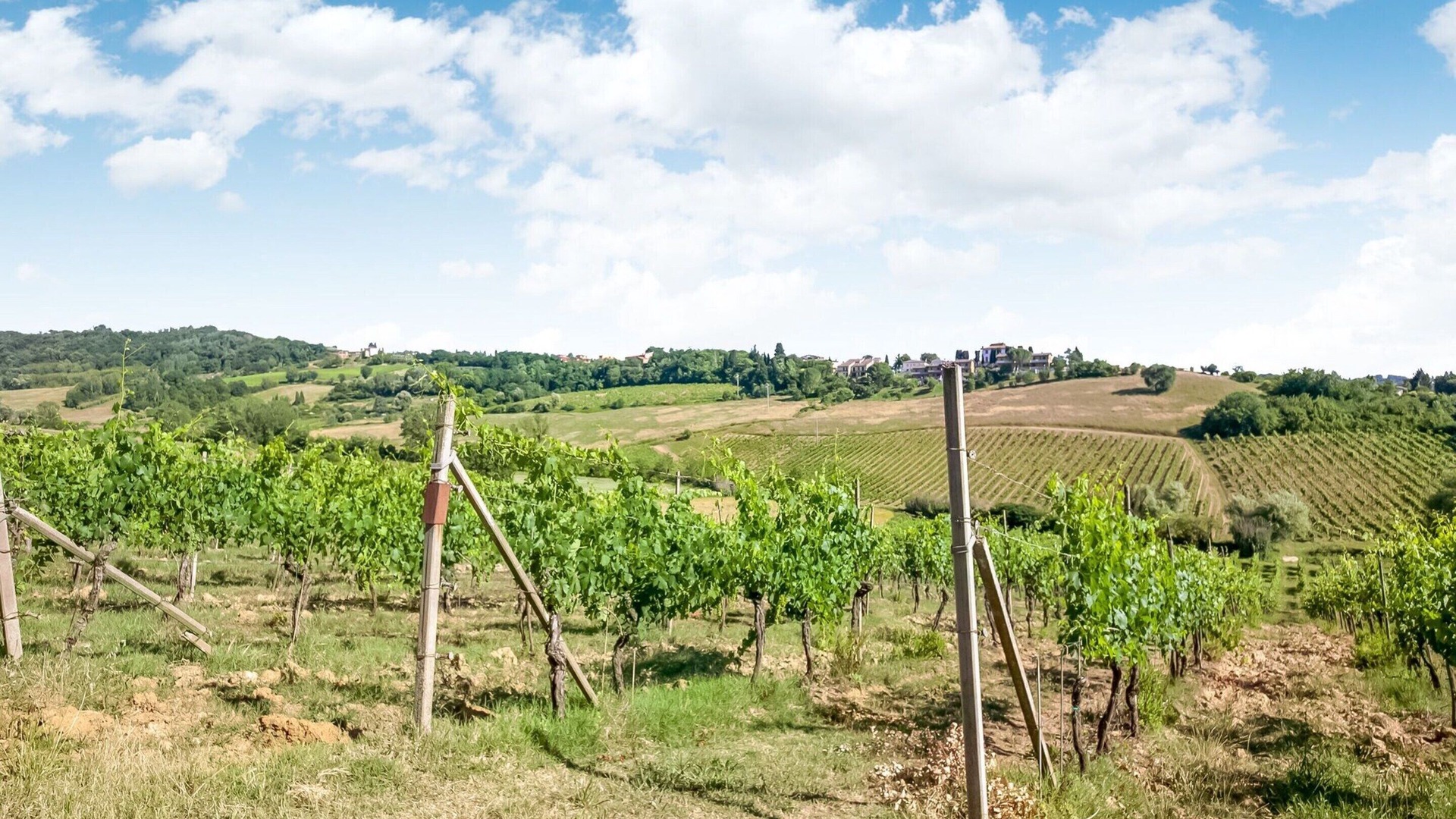 foto de Otras en Gavignano