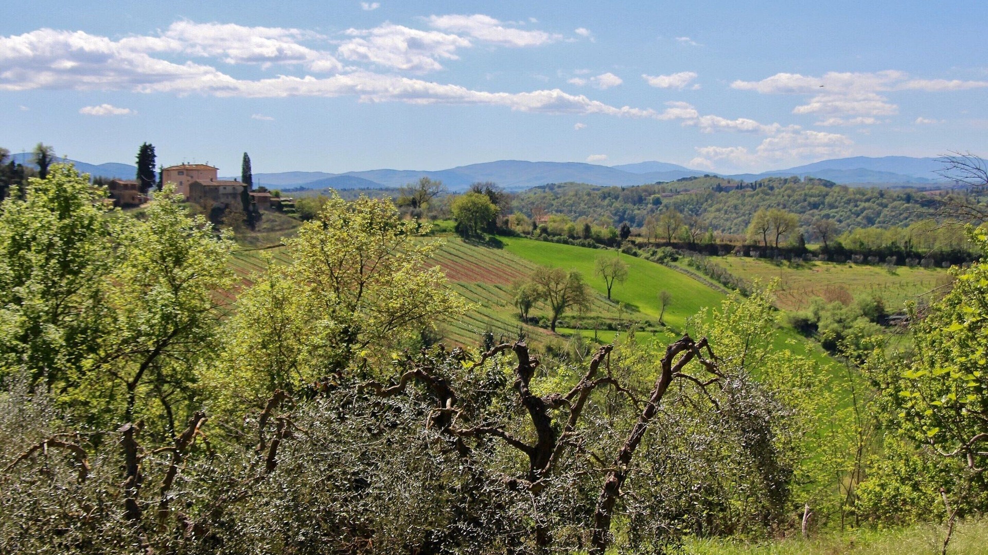foto de Otras en Gavignano