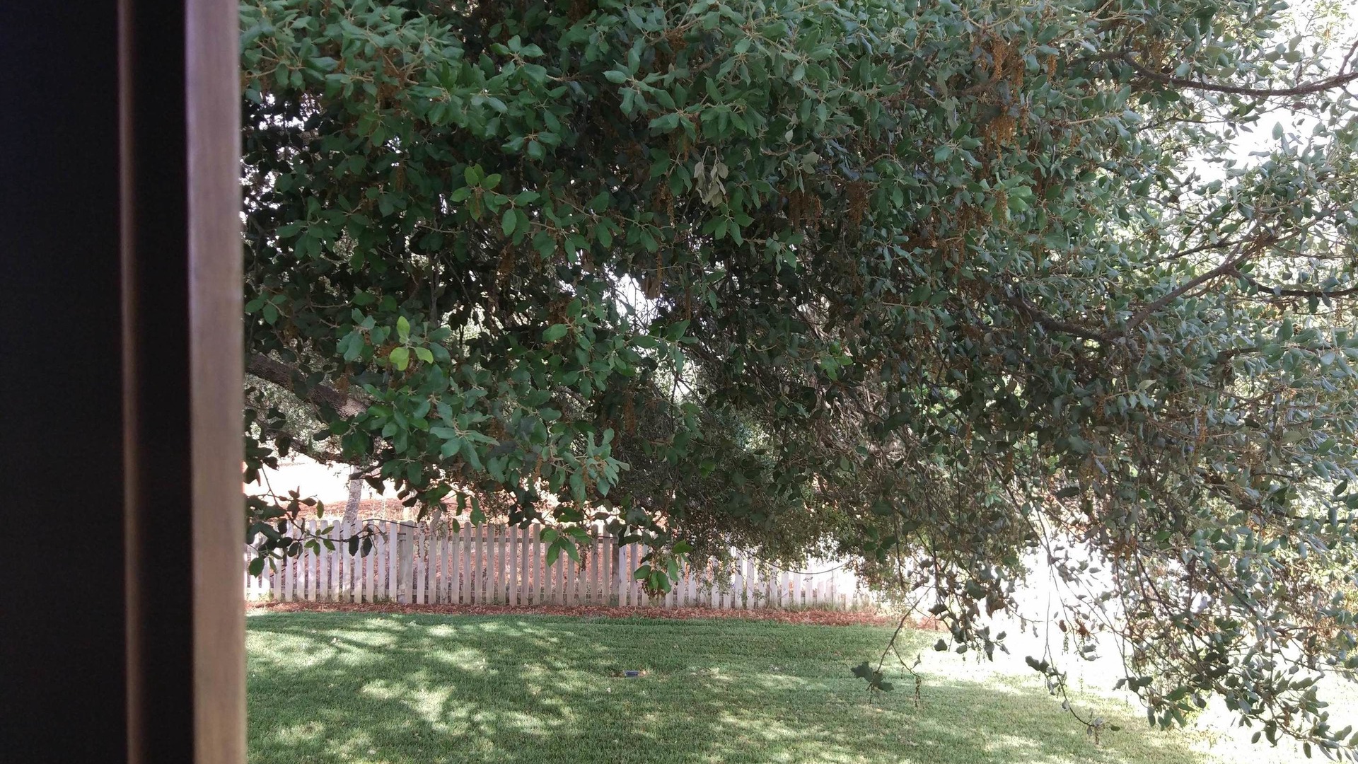 foto de Exterior en Sant Joan de Labritja