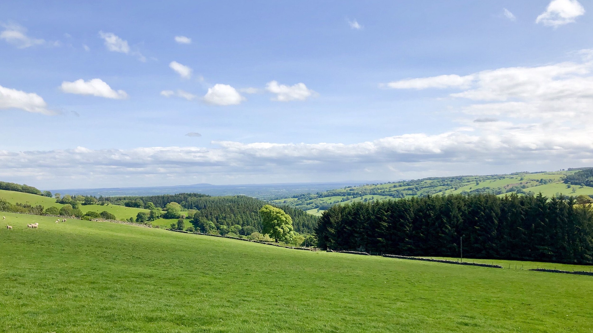 foto de Otras en Llangollen