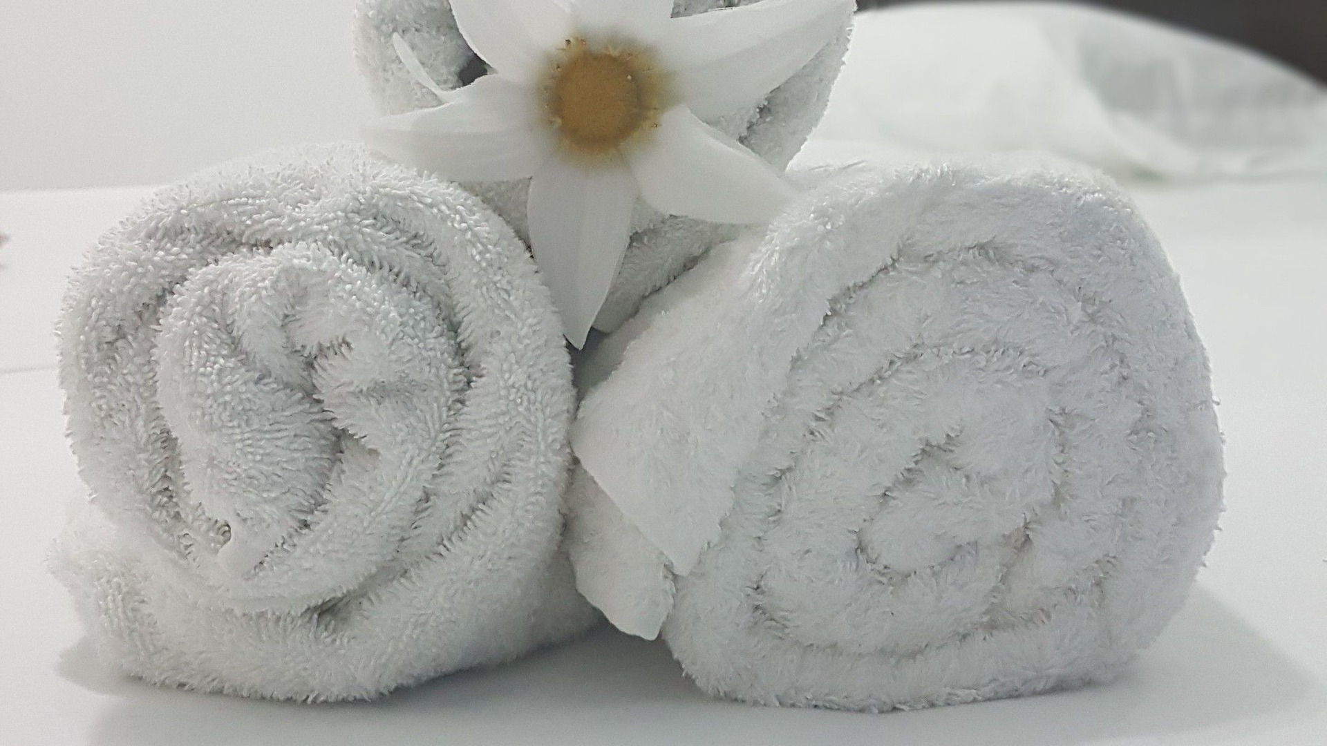 foto de Otras en Municipality of Playa