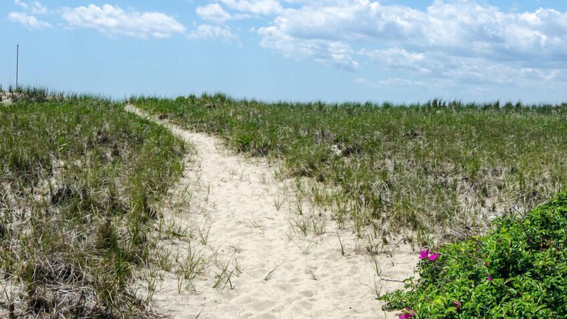 foto de Otras en North Truro