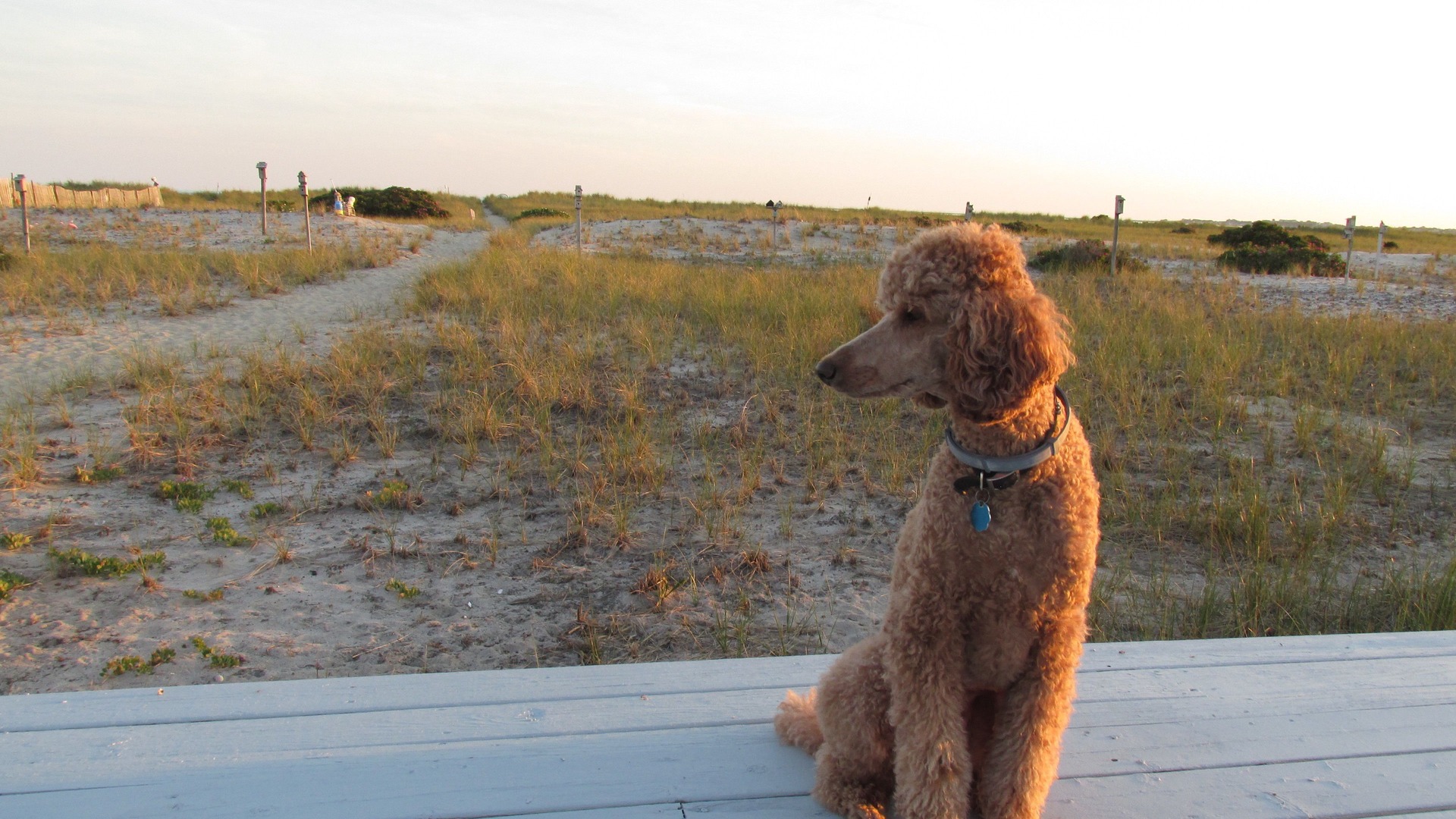 foto de Otras en North Truro