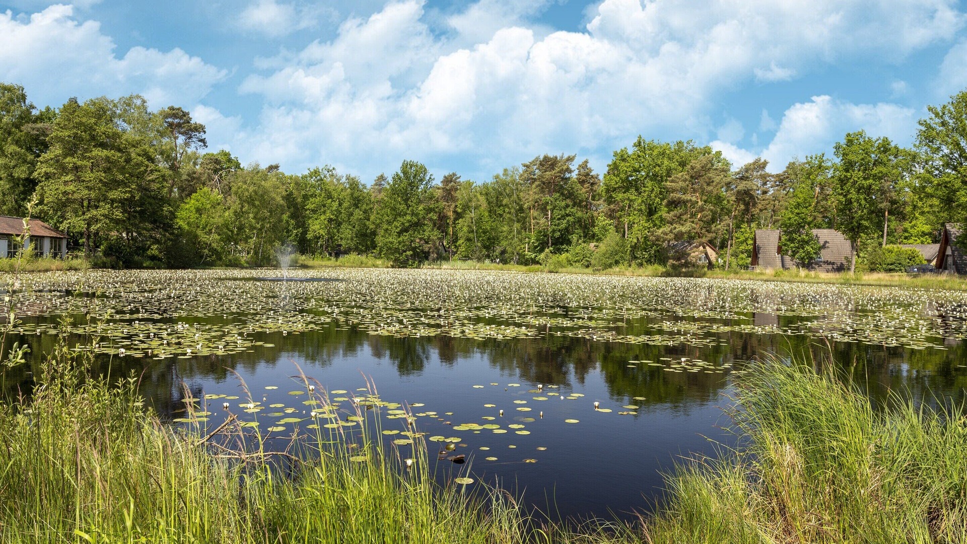 foto de Otras en Municipality of Weert