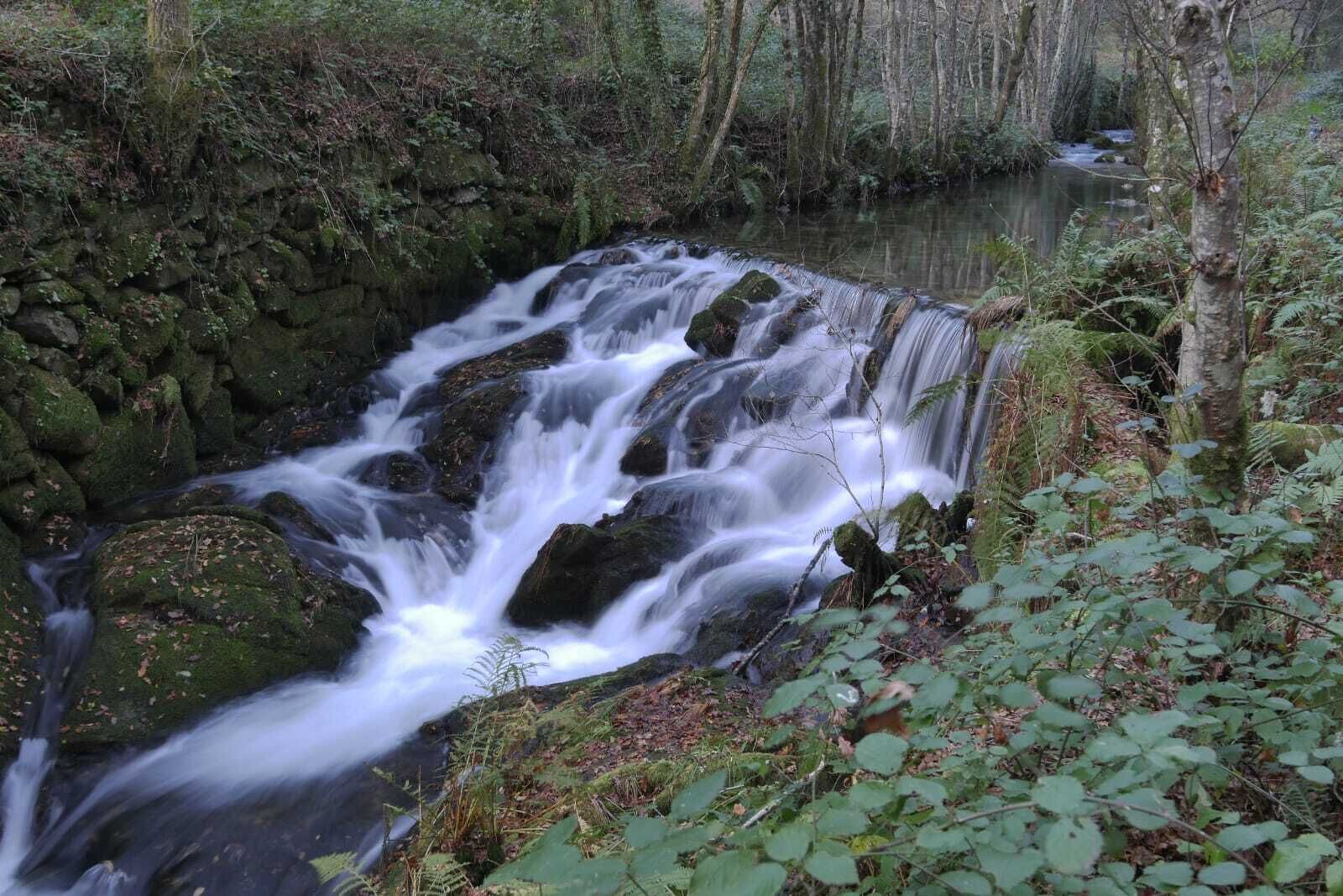foto de Otras en San Cristovo de Cea