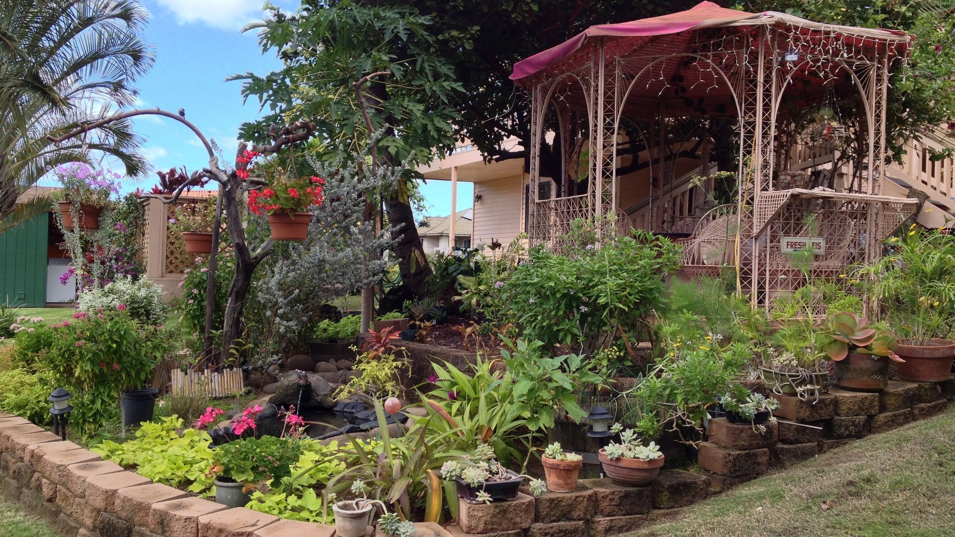 foto de Otras en Kihei