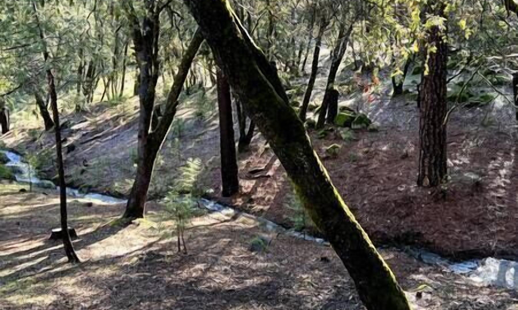 foto de Otras en Ahwahnee
