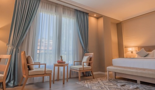 Habitación Premium, 1 cama de matrimonio grande