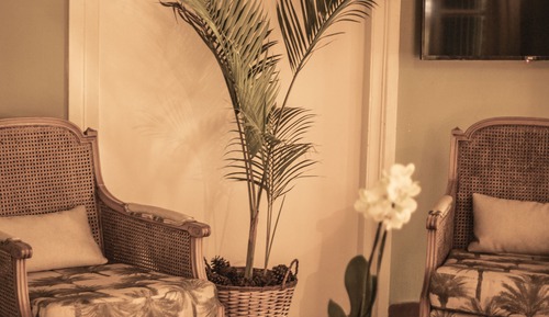 Habitación estándar