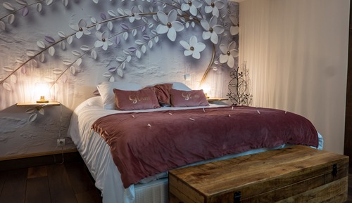 Habitación doble superior (Bergamotte)