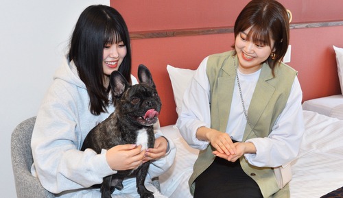 Habitación Deluxe con 2 camas individuales, no fumadores