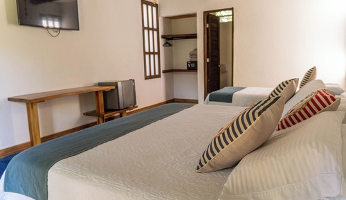 Suite, vistas al jardín