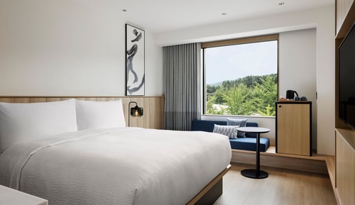 Habitación estándar, 1 cama de matrimonio grande, no fumadores