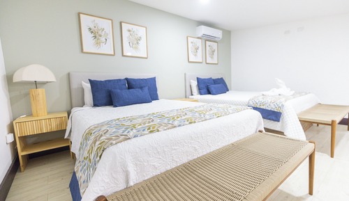 Suite estudio Premium