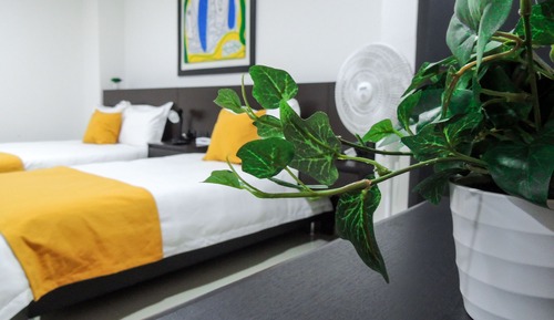 Habitación triple superior