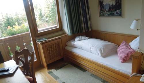 Habitación individual, balcón, con vistas (Edelweiss)