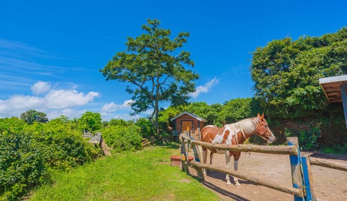 Vintage Deluxe Villa