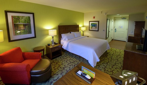 Habitación, 1 cama de matrimonio grande, accesible para personas con discapacidad