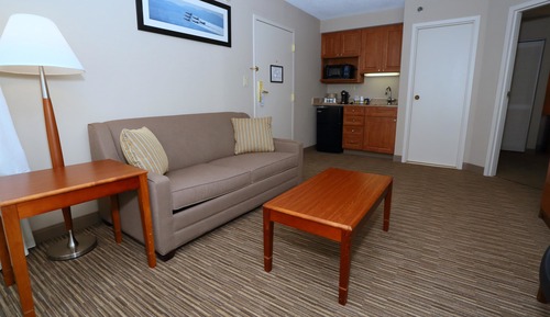 Suite, 1 cama doble, no fumadores, frigorífico y microondas (with Sofabed)