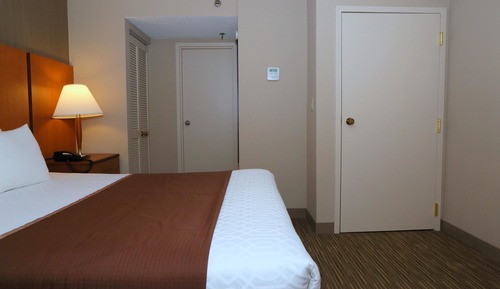 Habitación estándar, 1 cama de matrimonio grande, no fumadores, frigorífico y microondas