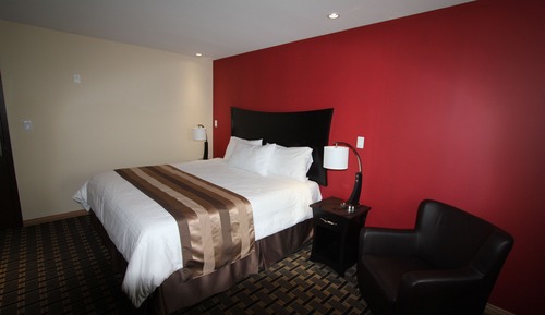 Habitación, 1 cama de matrimonio grande