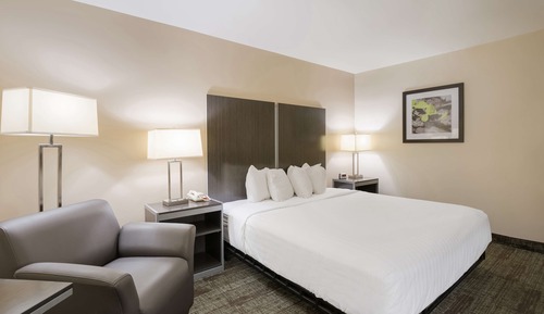 Habitación estándar, 1 cama de matrimonio grande, accesible para personas con discapacidad