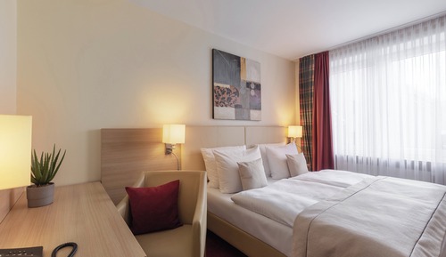 Habitación estándar, 1 cama doble