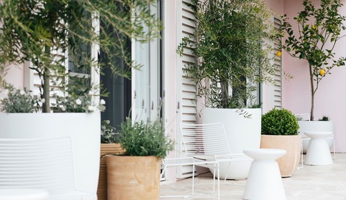 Suite (Oceanside Garden)